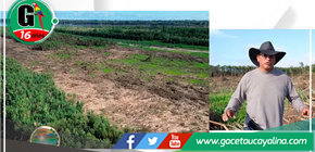 Alcalde Rodolfo Lovo Tello lanza plan piloto para producción agrícola en Contamanillo