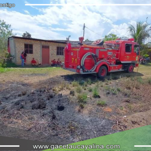 Bomberos de Tarapoto atienden más de 20 incendios estructurales al mes