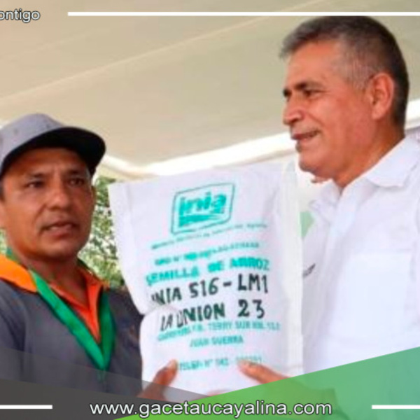¡San Martín Cultiva el Futuro del Arroz con INIA 516 LM1 – La Unión 23!