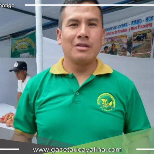 Proyecto de inseminación artificial en Huamalíes mejora calidad del ganado vacuno