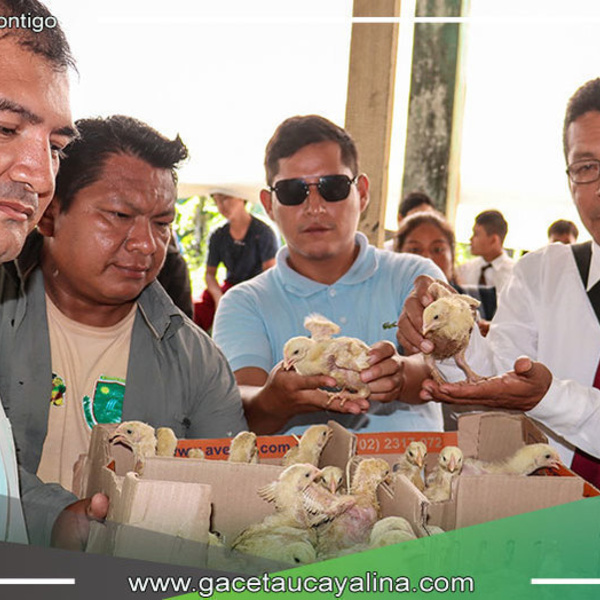 "Frutos de mi Tierra Atalayina": Proyecto que transforma la educación en Atalaya