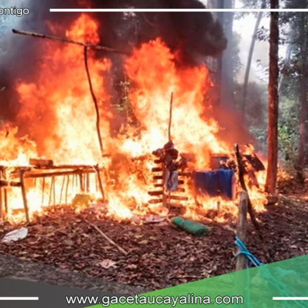 Destruyen 23 laboratorios de PBC en Tahuania durante operativo helitransportado