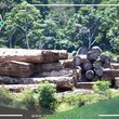 275 mil soles por tráfico de productos maderables fue condenado a cárcel
