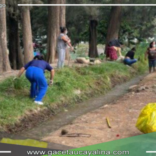Realizan limpieza y siembran plantas en el Malecón Los Incas en conjunto  