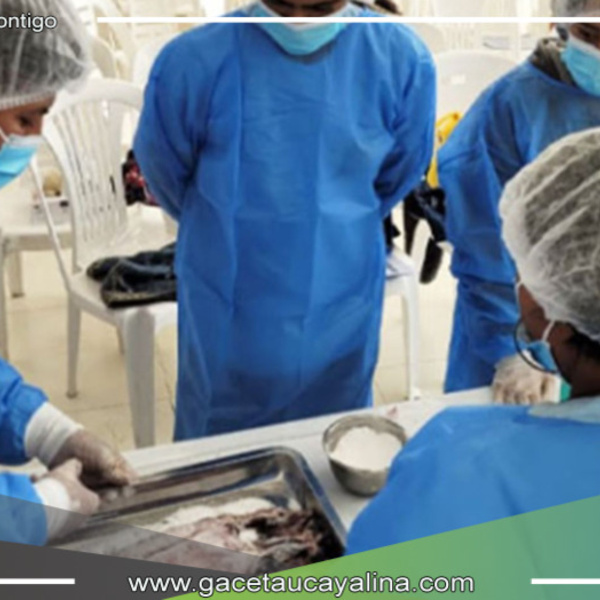 Produce capacita a pescadores artesanales de San Martín en procesamiento de recursos pesqueros