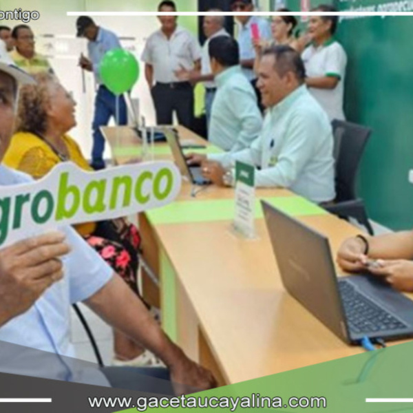 Midagri otorga 4.4 millones de soles en créditos para pequeños productores de café en Junín