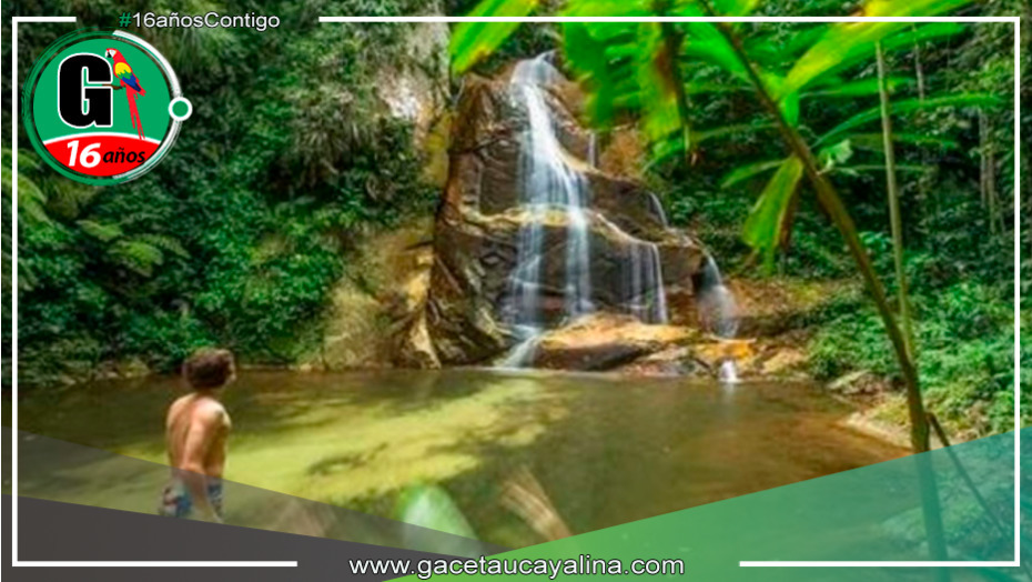 Amenaza a la Biodiversidad: Trocha Ilegal irrumpe en la Cordillera Escalera de San Martín