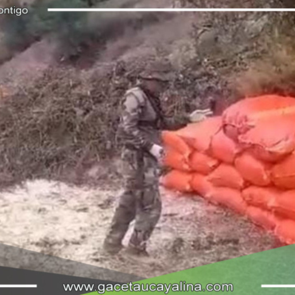 Huánuco: Decomisan más de 5 toneladas de Marihuana