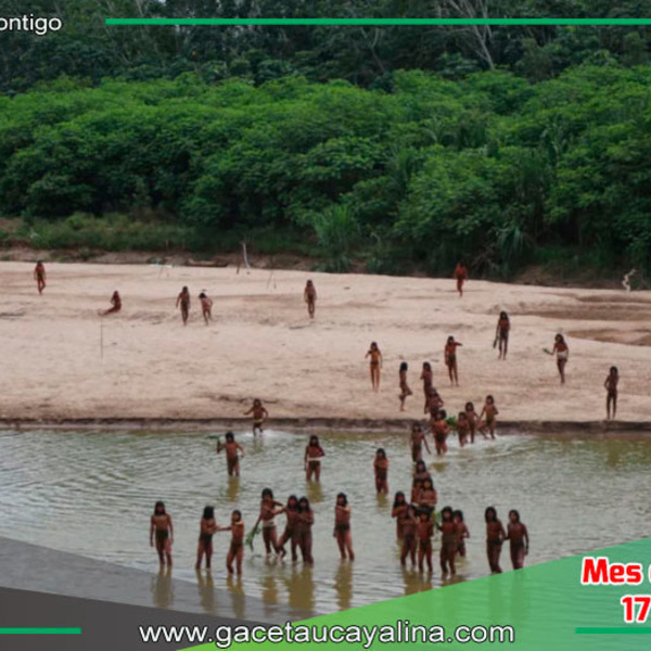 Survival International revela imágenes raras de los mashco piro en busca de alimento en Madre de Dios