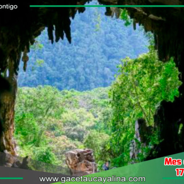 Parque Nacional Tingo María: Motor de Reactivación Económica y Conservación