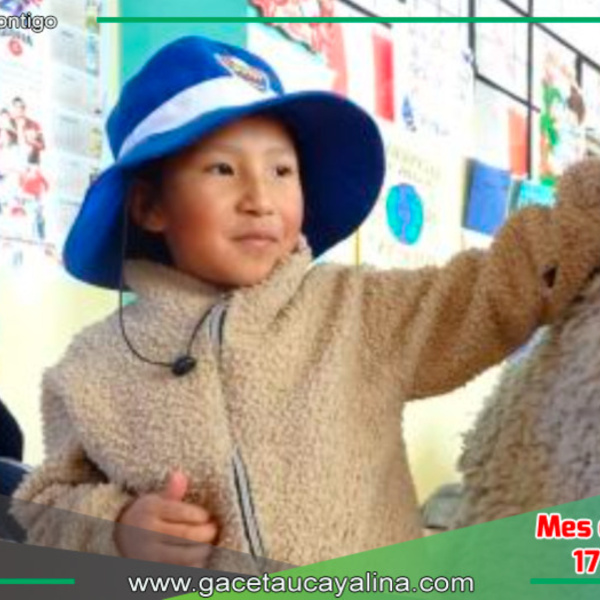 Medidas Innovadoras en Junín para Combatir el Frío en las Escuelas