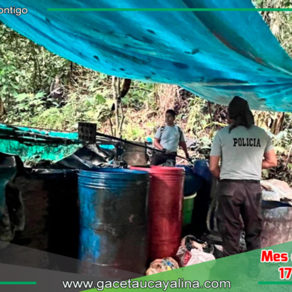 Desarticulan Laboratorio Clandestino de Producción de Cocaína y Decomisan Marihuana en Huánuco