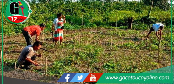 Janet Castagne impulsa taller de biohuertos en la C.N. Santa Martha