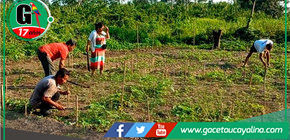 Janet Castagne impulsa taller de biohuertos en la C.N. Santa Martha