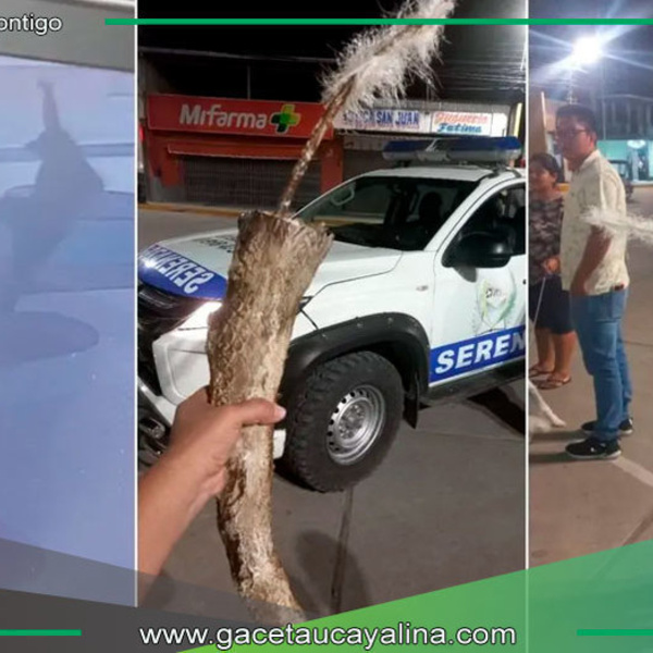 Joven destruye escultura de dinosaurio en Bagua y pide perdón al alcalde 