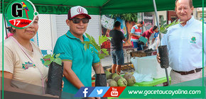 Relanzan "Los Frutos de Mi Tierra" con éxito local en Atalaya