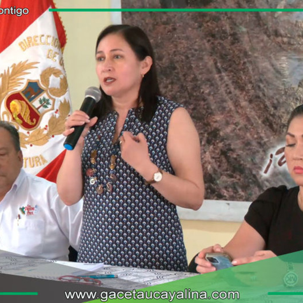 Alcaldesa Janet Castagne participó en el taller de actualización del Plan Víal Provincial 
