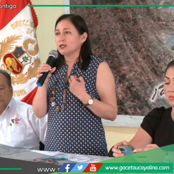 Alcaldesa Janet Castagne participó en el taller de actualización del Plan Víal Provincial 