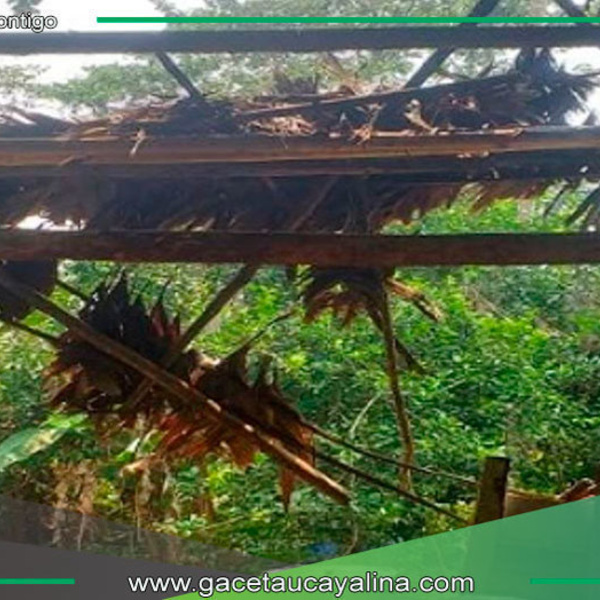 Fuertes vientos y lluvias impactan en Oxapampa