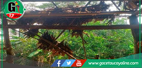 Fuertes vientos y lluvias impactan en Oxapampa