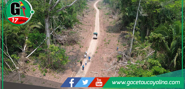 Comitiva de municipalidad de Ucayali inspecciona avance de vía entre Contamana y Pucallpa