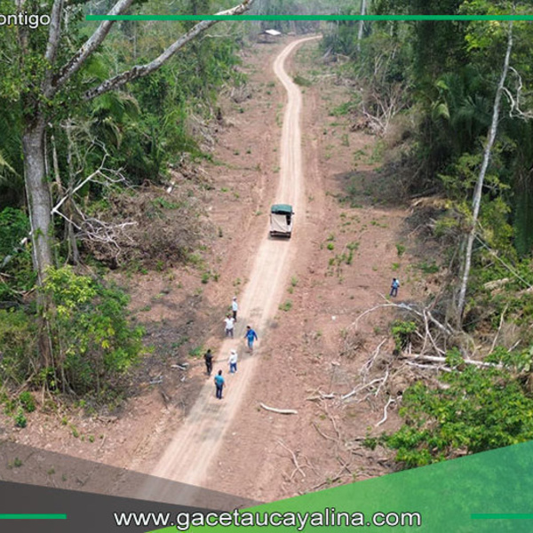 Comitiva de municipalidad de Ucayali inspecciona avance de vía entre Contamana y Pucallpa