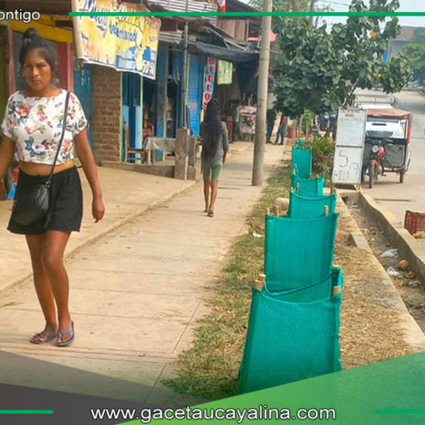 Iniciativa municipal preserva áreas verdes y orden en la ciudad de Atalaya