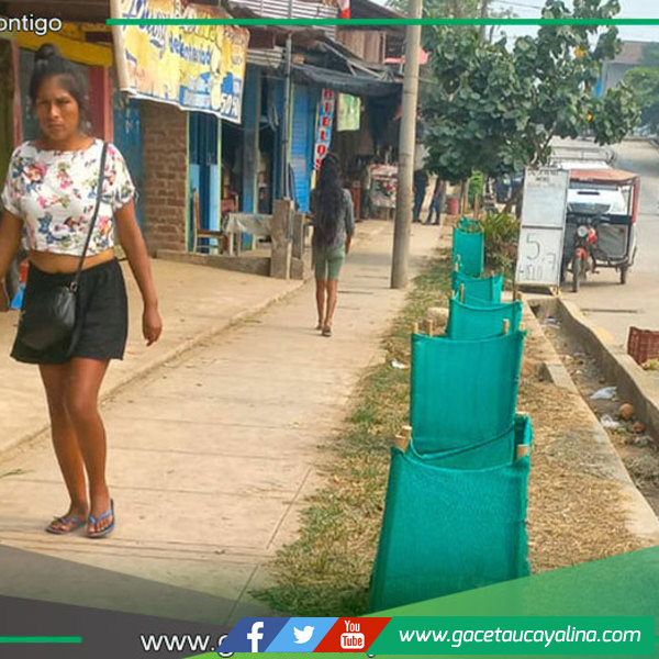 Iniciativa municipal preserva áreas verdes y orden en la ciudad de Atalaya