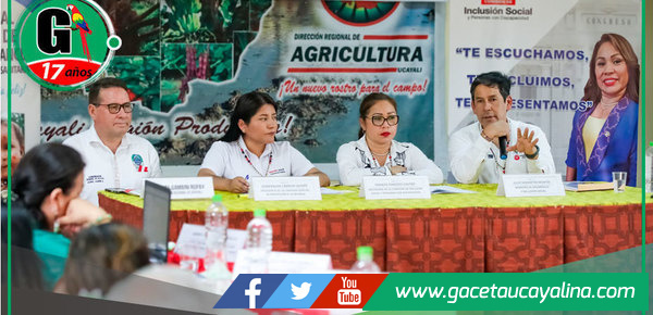 Reducen anemia infantil en Ucayali con apoyo estatal y local