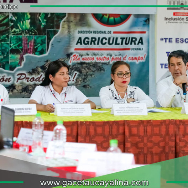 Reducen anemia infantil en Ucayali con apoyo estatal y local