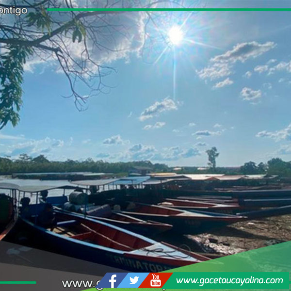 Temperaturas récord de 40 grados afectan a la Amazonía peruana