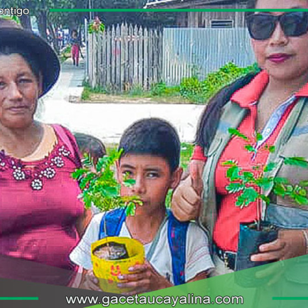 Sepahua apuesta por la arborización en calles y espacios públicos