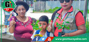 Sepahua apuesta por la arborización en calles y espacios públicos