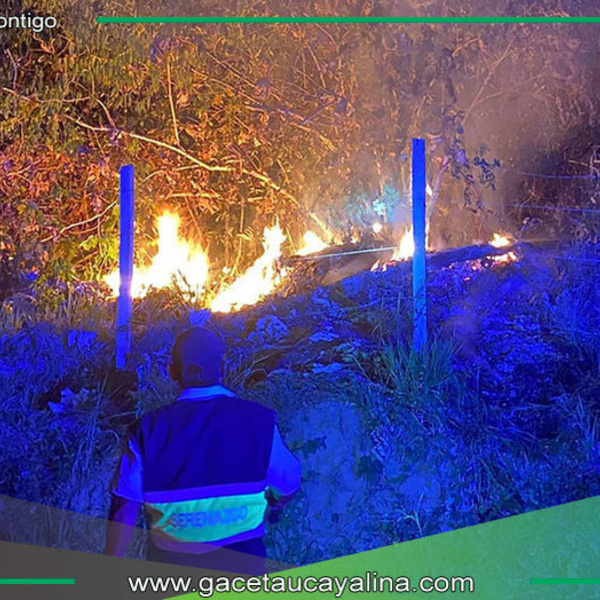 Incendios forestales y sequía afectan gravemente a Contamana