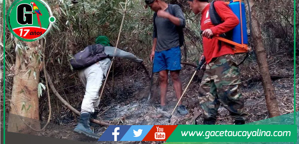 Fuego arrasa 50 hectáreas en comunidad nativa de Junín