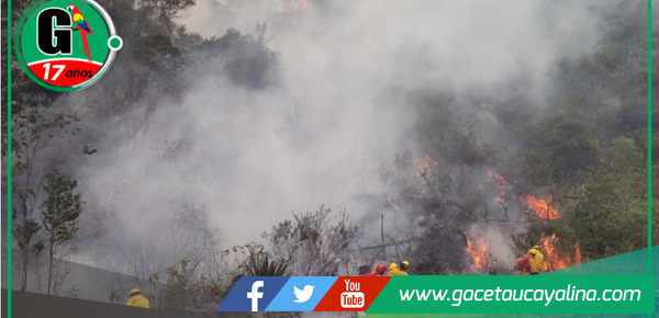 Cuatro víctimas de incendios forestales se encuentran hospitalizados 