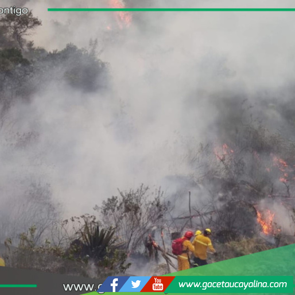 Cuatro víctimas de incendios forestales se encuentran hospitalizados 