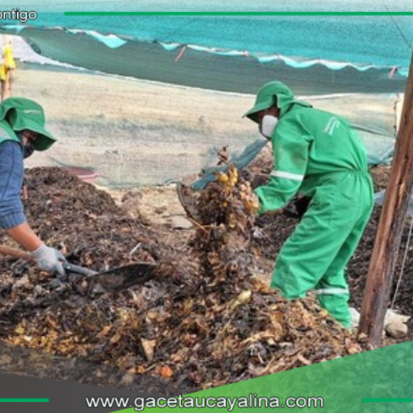 Mazamari introducirá planta de valorización de residuos sólidos para optimizar costos