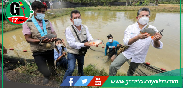 Huánuco suma esfuerzos en proyecto por la acuicultura de peces tropicales