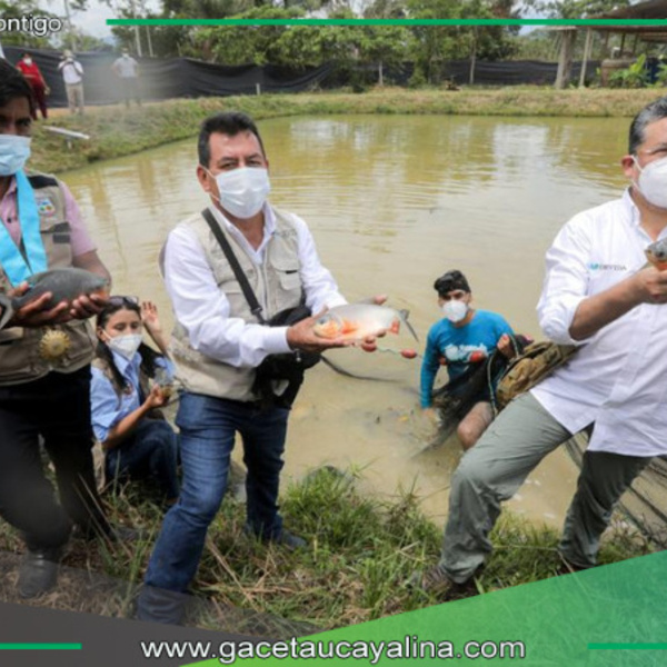 Huánuco suma esfuerzos en proyecto por la acuicultura de peces tropicales
