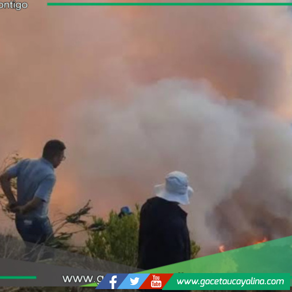 La cantidad de turistas ha disminuido en un 60 % a causa de incendios forestales en San Martín 