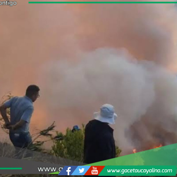 La cantidad de turistas ha disminuido en un 60 % a causa de incendios forestales en San Martín 