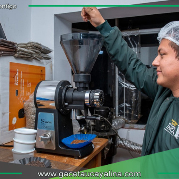 Programa Avanzar Rural impulsa la producción de café beneficiando a cerca de 5000 familias