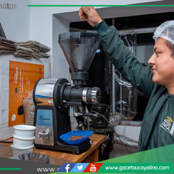 Programa Avanzar Rural impulsa la producción de café beneficiando a cerca de 5000 familias