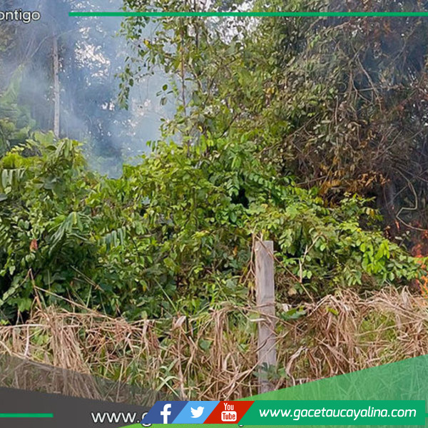 Alcalde de Sepahua promueve medidas contra incendios en la Amazonía