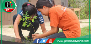 Municipalidad de Atalaya organiza evento de reforestación y concientización