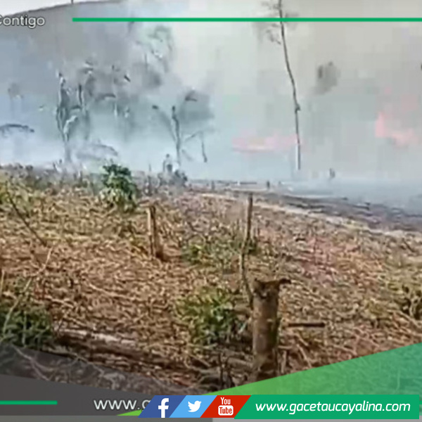 Se ha registrado un incendio forestal en la reserva natural Pacaya Samiria, según Sernanp.