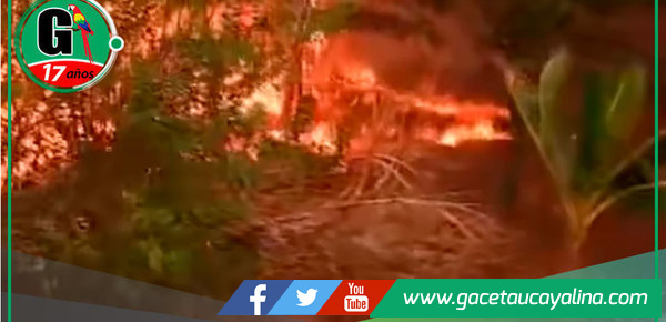 60 familias pierden todo en incendio forestal en Santa Anita distrito de Nueva Requena