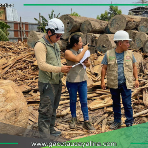 OSINFOR y los gobiernos regionales de la Amazonía colaboran para fortalecer la supervisión de los centros de transformación primaria