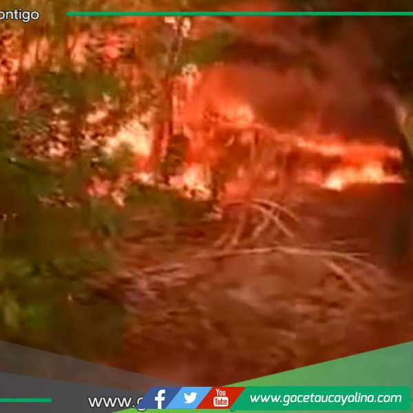 60 familias pierden todo en incendio forestal en Santa Anita distrito de Nueva Requena